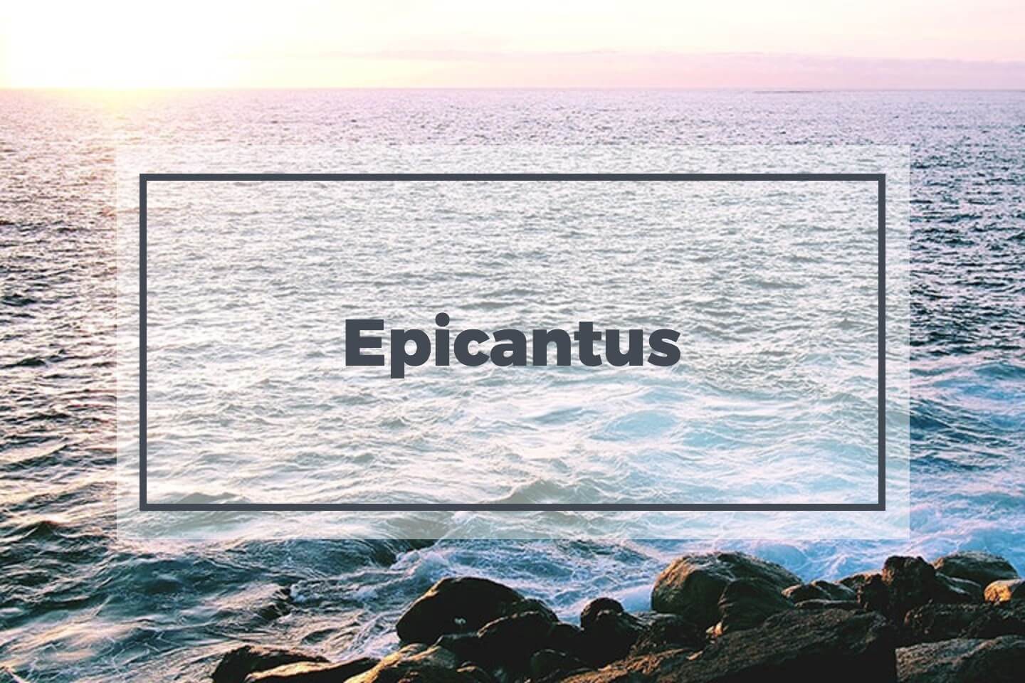stock-fotos Epicantus