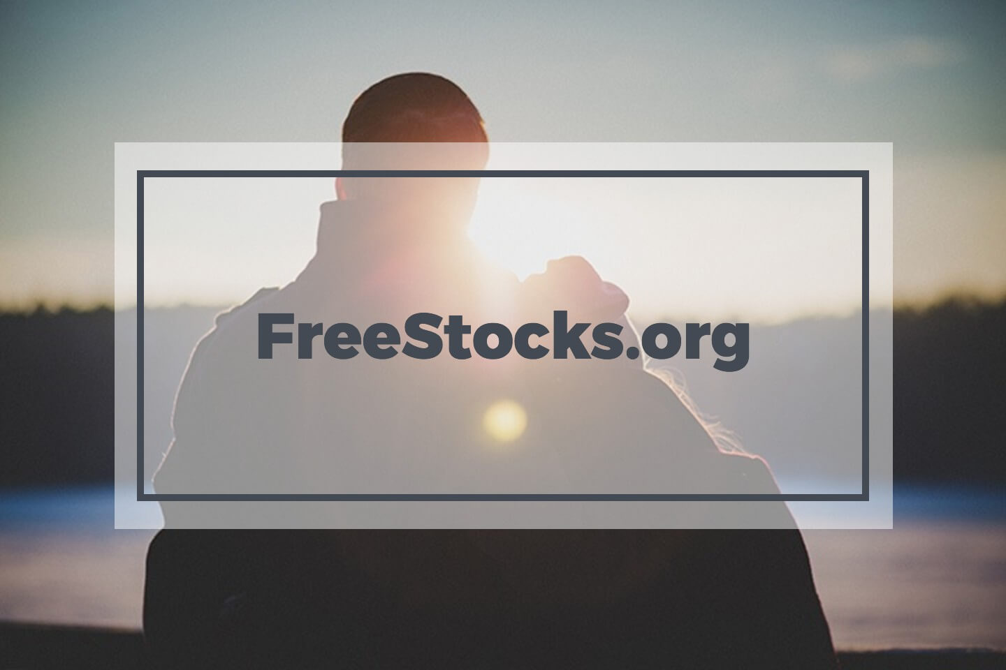 Freestocks.org free stock photos