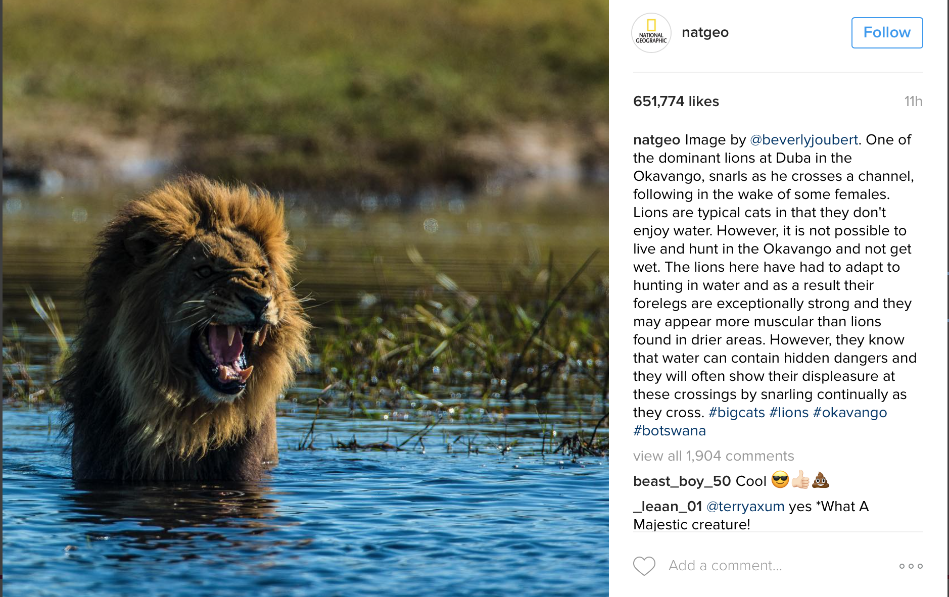 marketer's guide to Instagram hashtags