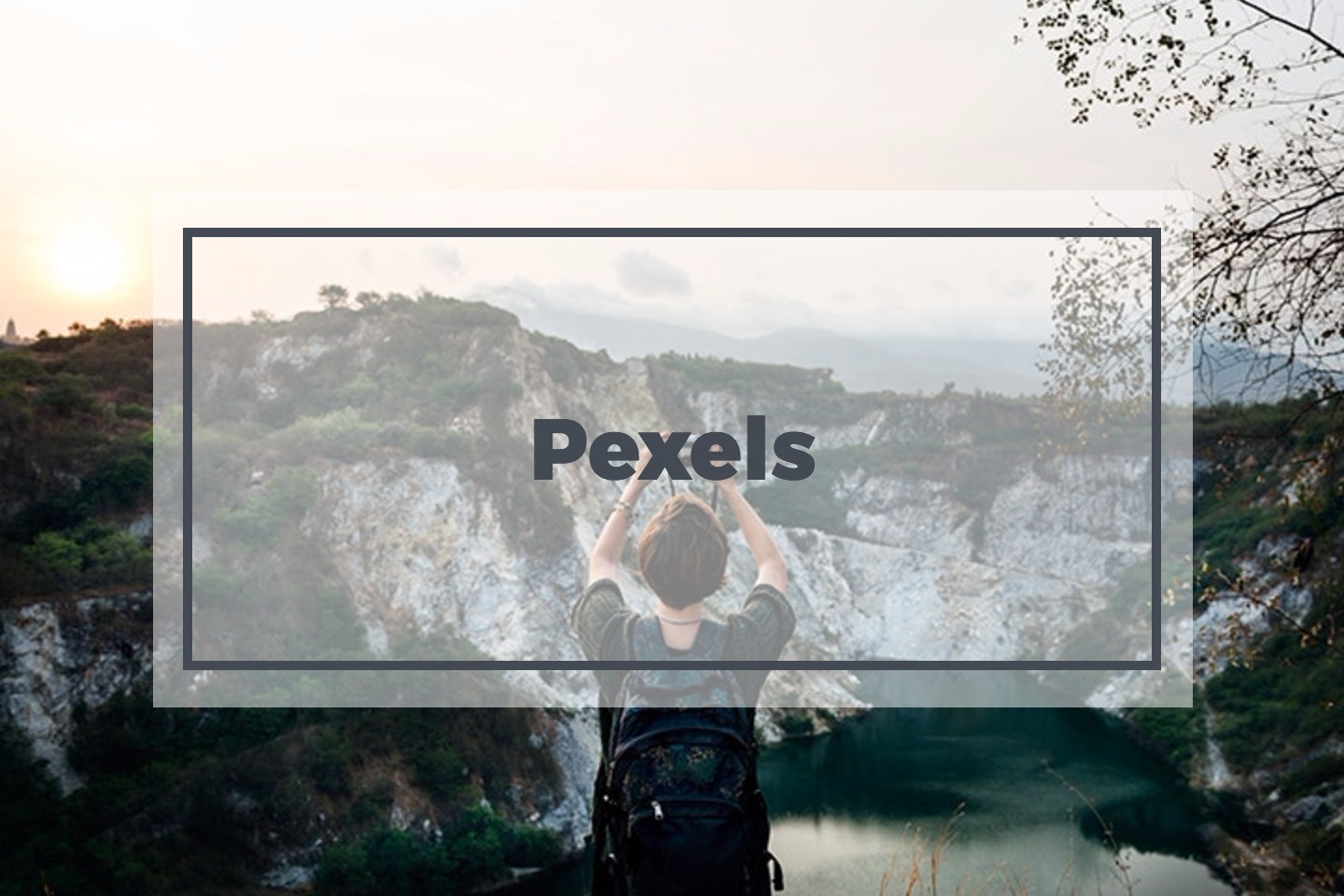 Pexels free stock photos