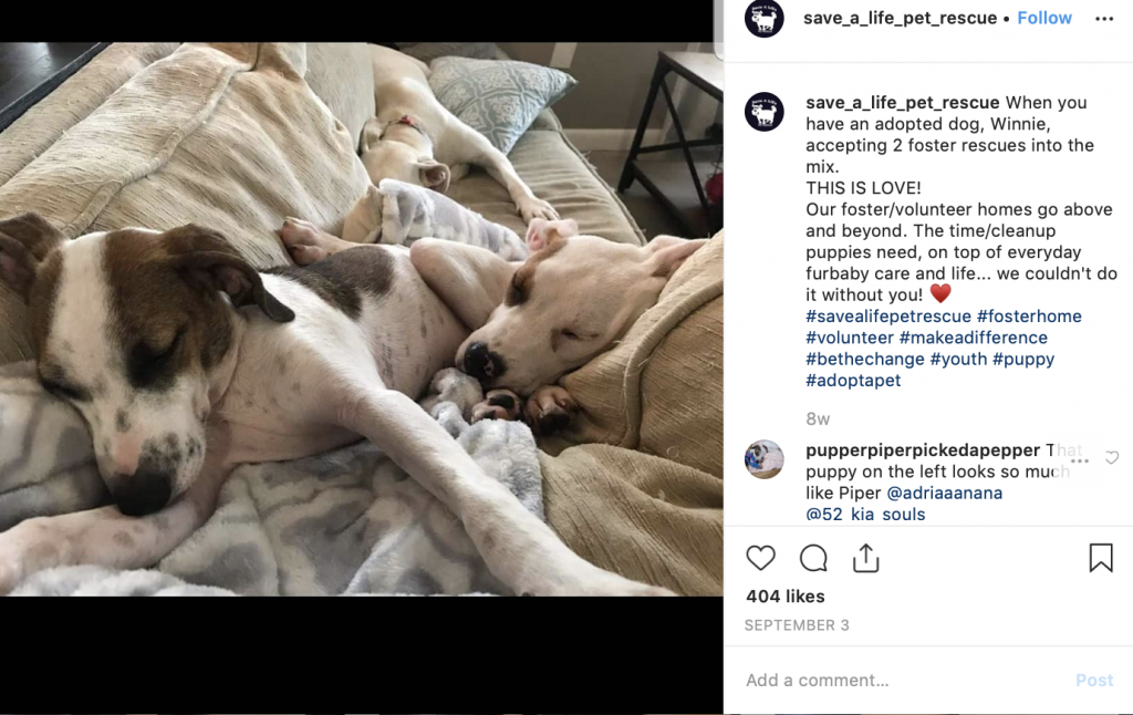 social media nonprofit post