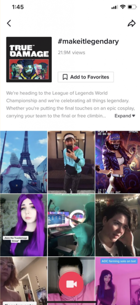 types of tiktok ads