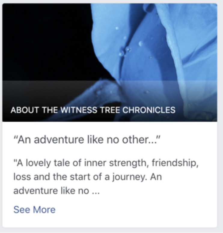 Facebook Our Story section