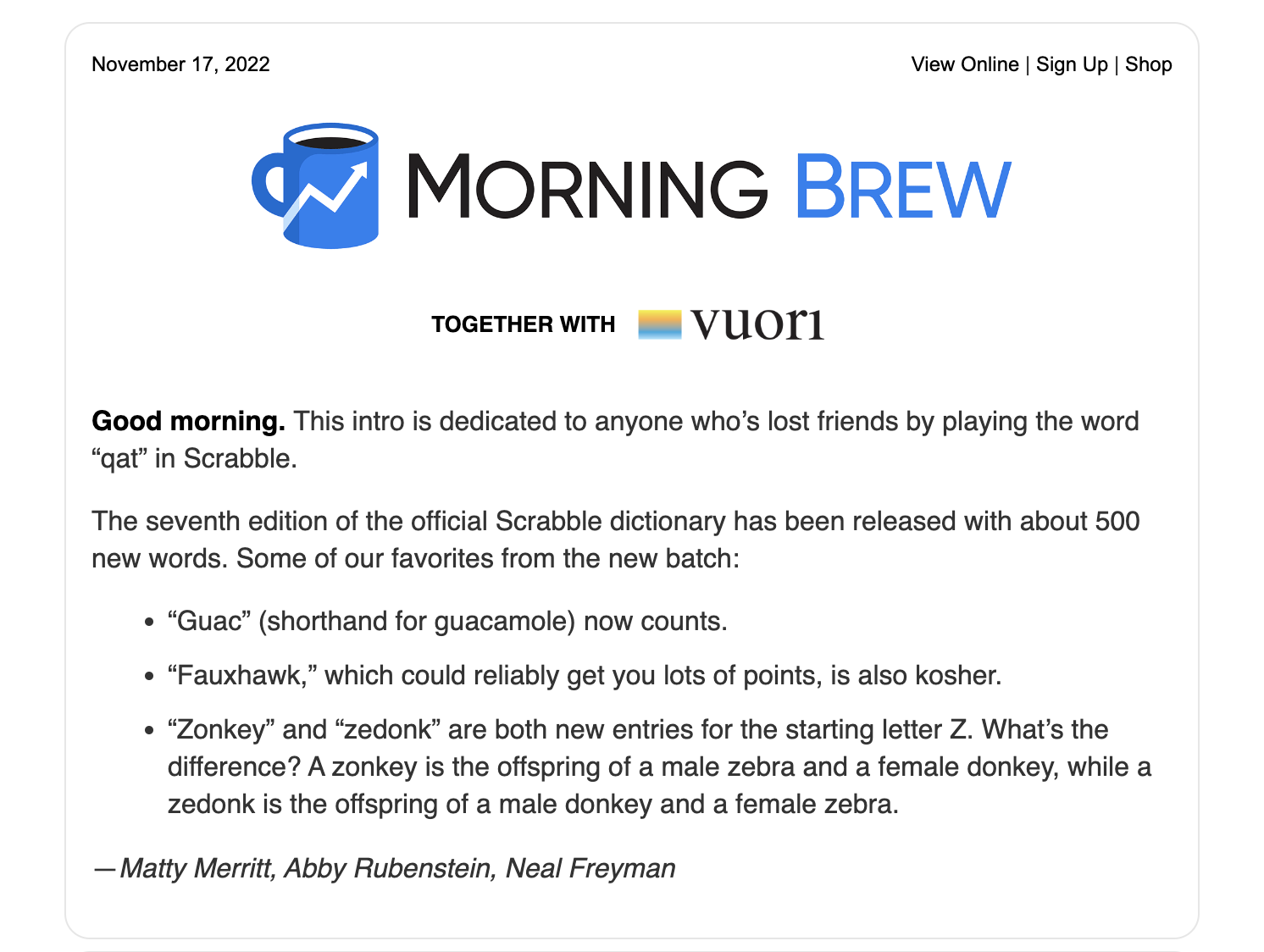 morning brew newsletter